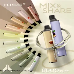 Kis5 鎧斯5號 一次性電子煙 K65 MIX&SHARE 6500 Puffs-台灣現貨